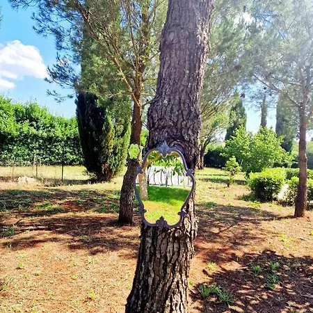 Guest house Elisa Trulliandmore - Pool And Tennis Court Martina Franca