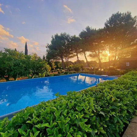Guest house Elisa Trulliandmore - Pool And Tennis Court Martina Franca